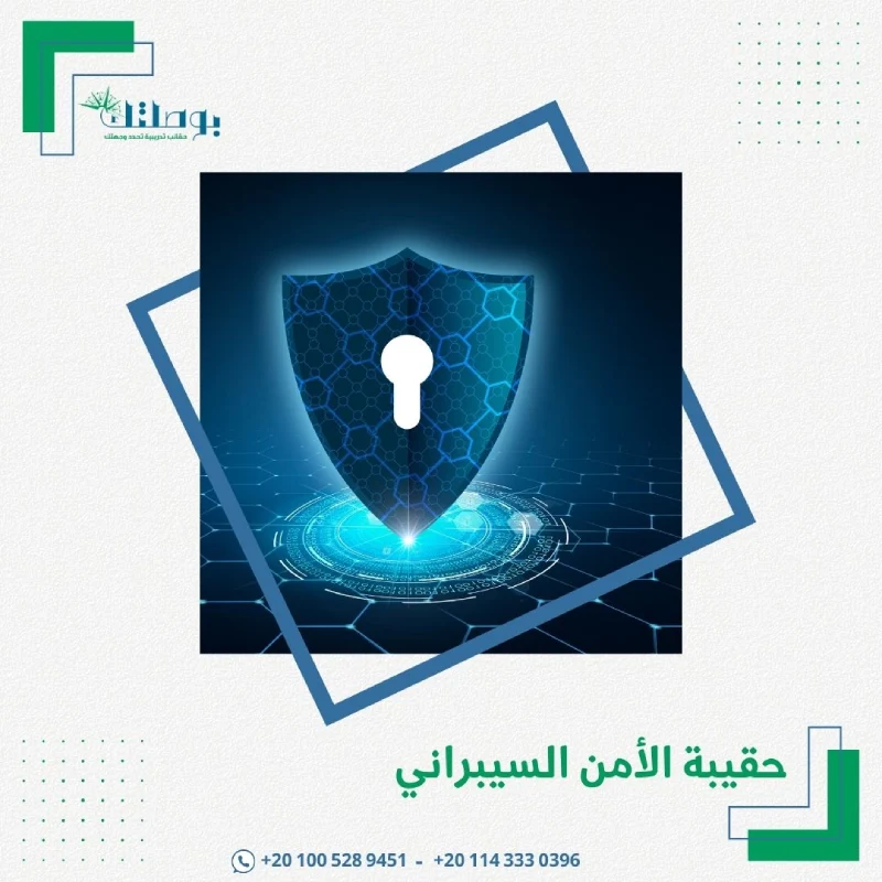 حقيبة الأمن السيبراني